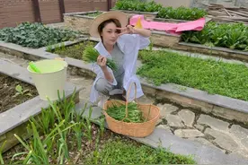 张馨予在别墅内种菜，下地干农活超接地气，面积大到能种桃子树图片