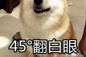 议员父亲是挡箭牌？韩国Rapper酒驾招嫖打警察竟然能全身而退图片