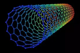 大自然生物界中的“纳米之王”生物们比人类更早“掌握”这个技术图片