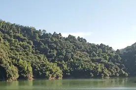 看一看，瞧一瞧图片