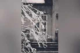 日文版《Take Me To Your Heart》《吻别》图片