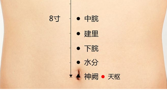 12鳬ʵõѨλϣ൱ڳ12ζҩҩ