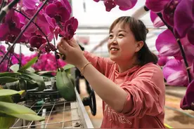 钱从何处来——关注祁连山下的生态宜居搬迁工程系列报道之二图片