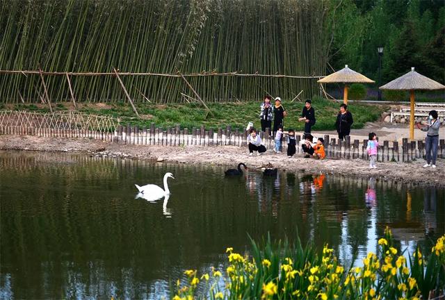 �۰�������������ʱ������Ӱ�����·糱 | ��Ӱ������ͼ��