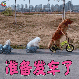 空瓶合集，2020上半年竟然用光了这么多护肤品？