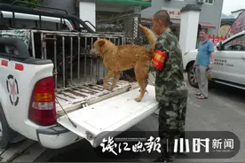 亲历狩猎野猪 | 杭州老猎枪重出江湖，桐庐大山深处发现泥泞脚印图片