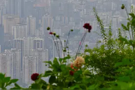 水下藏国宝，地底建核城，两江福地神奇涪陵，藏着多少人间奇迹？图片