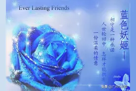 蓝玫瑰又名蓝色妖姬，是花中新贵，妖艳迷人图片