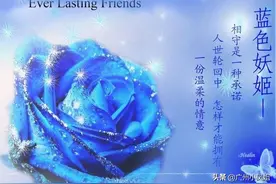 蓝玫瑰又名蓝色妖姬，是花中新贵，妖艳迷人图片