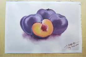 水彩之水果篇03～李子李子图片