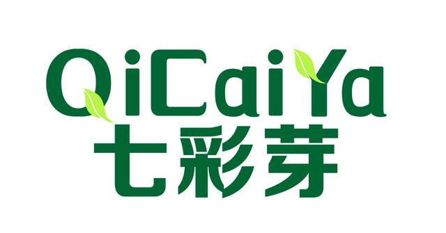 电脑之家下载