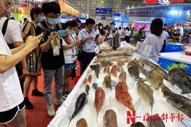 278.8公斤重的世界最大鱼丸，你见过吗？中国国际渔业博览会在福州开幕图片
