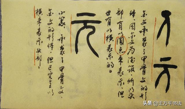 篆字识读书画同源了.寇的演化,仿佛也印证着社-会进展的血腥爆力