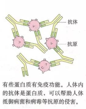 碳基生物是怎么回事？「高中生物讲解」1.2.4-1.2.5