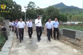 广东省政协副主席邓海光率队到岑溪市考察乡村振兴工作图片