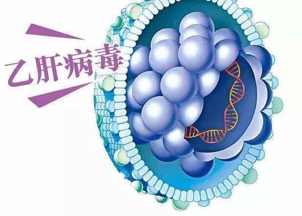 关于“乙肝治愈”，你了解多少？