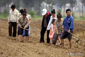 拍摄三农短视频，我推荐三个创作方向，灵感比较多图片