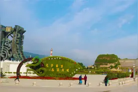 老年代步车问题调查：有人投诉有人刚需 管不管都难图片