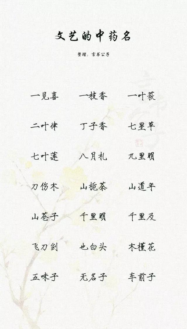 中药中适合取名唯美独特寓意好的名字（文艺的中药名）