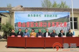 泰东春来忙茶韵进万家 泰山景区大津口乡采茶比赛活动成功举行图片