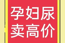 大千世界，无奇不有，有人高价回收孕妇尿，这有什么用？图片