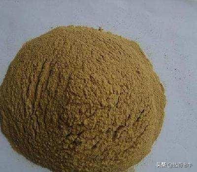 这类是身边随处可见的东西，钓鱼加点却效果非凡