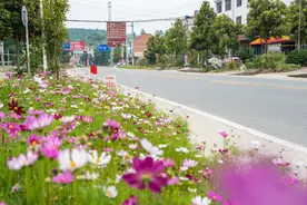 太美啦！湖北麻城最美公路，即将成为网红打卡地，快来先睹为快图片
