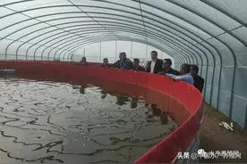 10万块尝试帆布池养鱼，半年不到亏完走人了图片