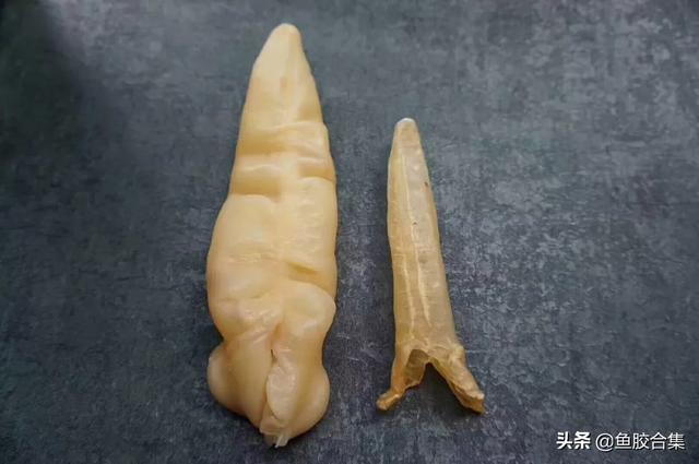 炖好的花胶颜色是白色的吗 炖好的花胶颜色是白色的吗还是黄色