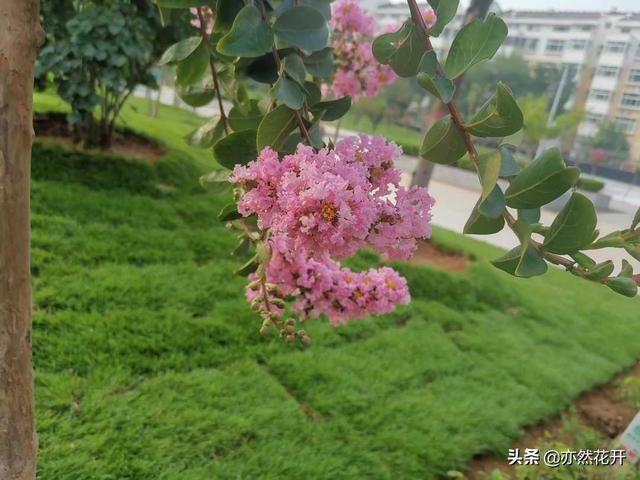 曾国藩:堂堂正正做人,做一个光明磊落的人