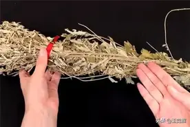 家里蚊子多？教你土方法，夏天家里一只蚊子都不敢来，告诉家里人图片