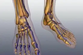 人体共有206块骨头，中国人普遍只有204块，少的两块去哪里了？图片