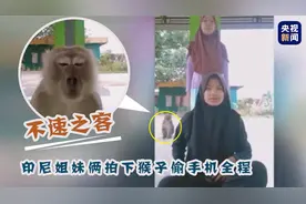 不速之客！印尼姐妹俩拍下猴子偷手机全程图片