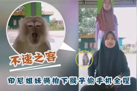 不速之客！印尼姐妹俩拍下猴子偷手机全程图片