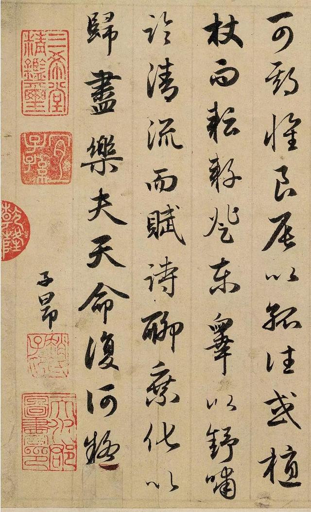 遒媚秀逸丨赵孟頫书归去来兮辞
