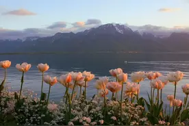 异地恋十年，每年相见40天。他们的异地恋为什么如此成功？图片