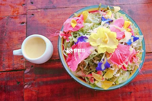 第一次的宿雾+薄荷岛自由行3，薄荷岛交通、景点篇