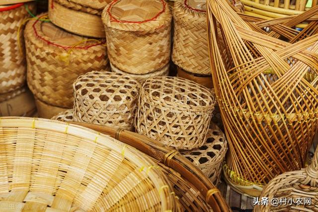 农村青年返乡创业,到底干啥能致富?这8个项目就“钱”景可观