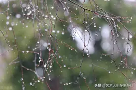 校长调走了，为什么掉下眼泪图片