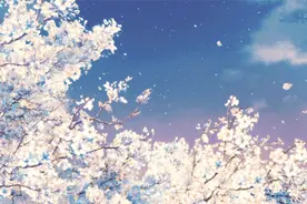 你的留言，被我们偷偷截图了图片