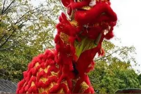 成都市非物质文化遗产：大邑狮灯图片