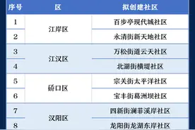 早安武汉｜明确了，武汉要建25个国际化社区！看看有你家吗图片