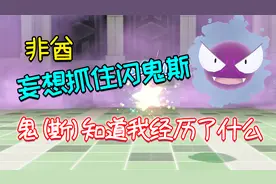「精灵宝可梦Let's go」闪光鬼斯知道我经历了什么……视频封面