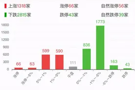 6000亿大白马爆雷，总龙头顺控发展复牌了图片