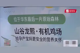 投40万、一夜能赚四千多？青岛大哥投资养鸡下蛋项目，钱花了也考察了，公司却失联了图片
