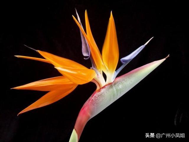 相思无益，十诫说与君知