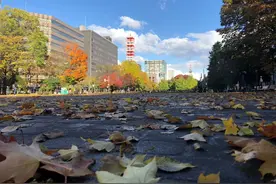 在北海道拓荒的中国人图片
