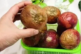 误认为是“烂果”，同情心泛滥买了10个回家，打开后“惊喜连连”图片