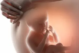 怀孕后，这4种营养素缺一不可，如何合理摄入准妈妈心里要清楚图片