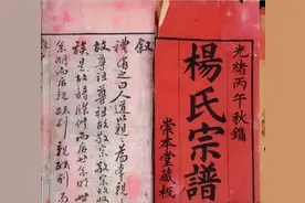 杨家人必看！杨氏家谱总谱（2021最新更新）图片